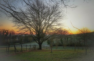 Folyamatosan bővülnek a LEADER lehetőségek a vidéki közösségek számára
