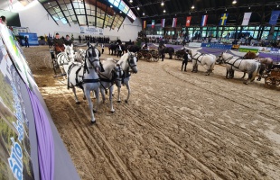 Hatalmas sikert aratott az idei KÁN - mintegy 30 ezer látogatót vonzottak a programok