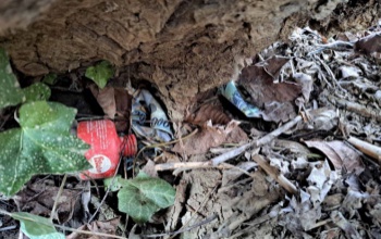 Trükkös tolvajt fogtak el a rendőrök - betörésnek próbálta álcázni a lopást