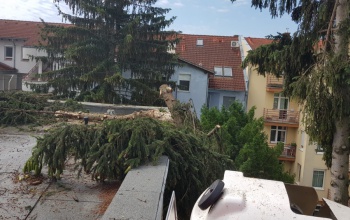 Negyvennyolc segélykérő hívás érkezett a hosszú hétvégén a tűzoltókhoz