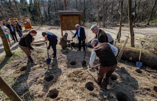 A kormány támogatja a városi erdők fejlesztését