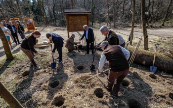 A kormány támogatja a városi erdők fejlesztését