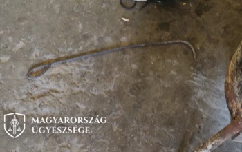 Piszkavassal verte élettársát egy férfi