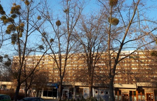 Borús, gyakran ködös idő várható hétfőtől