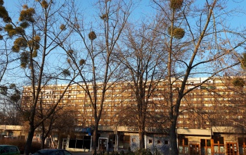 Borús, gyakran ködös idő várható hétfőtől