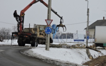 Rönkhagyó eset történt Kaposmérőnél