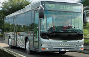 A bordó és a zöld szín még versenyben