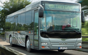 A bordó és a zöld szín még versenyben