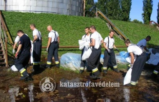Ellenőrzés a cukorgyárban