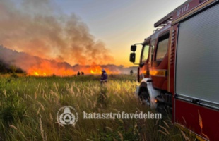 Meggyújtották a szemetet, veszélybe került az erdő