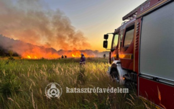 Meggyújtották a szemetet, veszélybe került az erdő