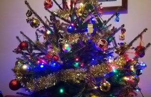 Budai család karácsonyfája