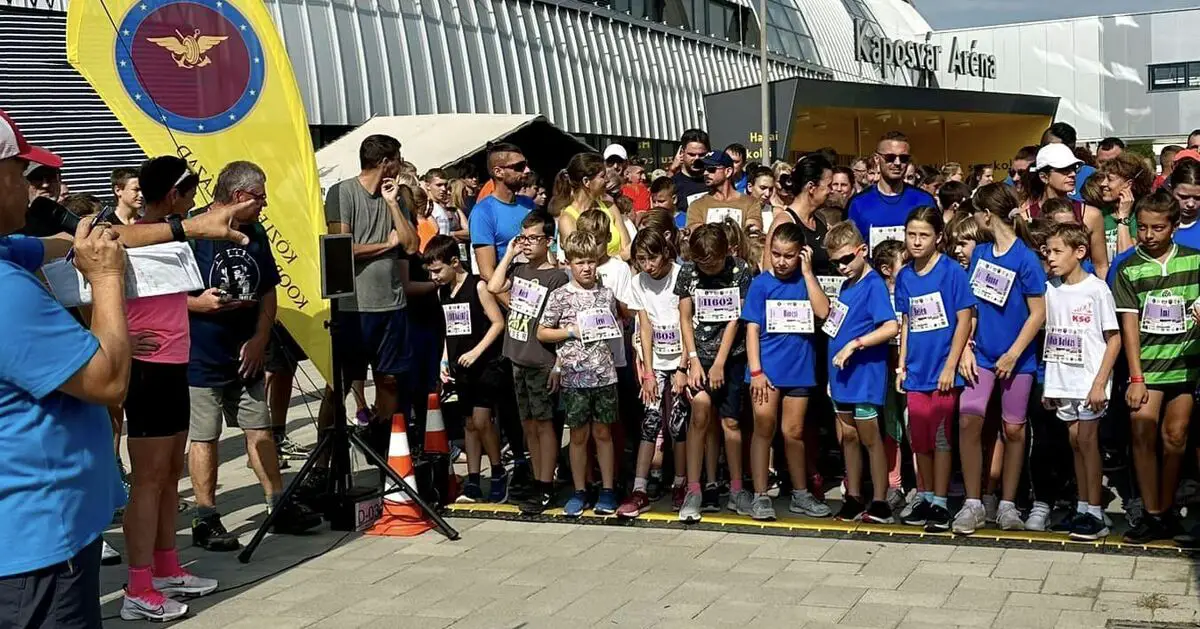 Díjat kaptak a legaktívabb intézmények
