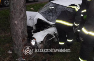 Fának csapódott autóst mentettek a tűzoltók