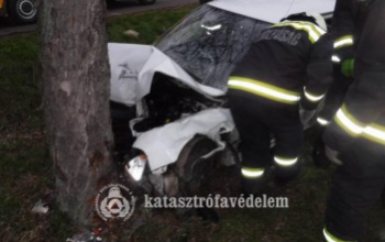 Fának csapódott autóst mentettek a tűzoltók