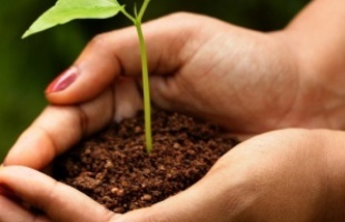 174,5 millió jut élőhelyvédelemre Somogyban