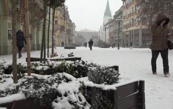 Csaknem 2 fokkal hűvösebb volt a tavasz a szokásosnál