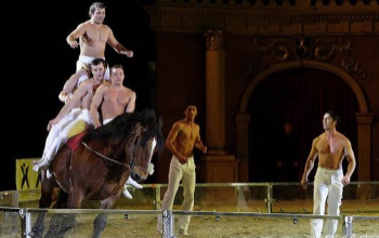 Hungarikummá minősítik a magyar cirkuszi lovas akrobatikát