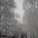 Eddig 15 cm hó hullott