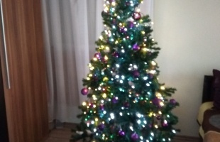 Olgi és Gáspár karácsonyfája