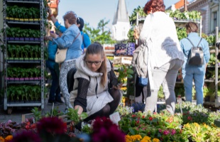 Ismét nagy sikere volt a Fő utcai virágvásárnak