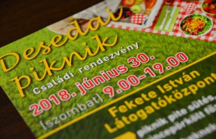 Desedai piknikre hívják a családokat