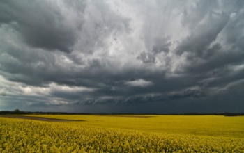 Kaposvári időjós: Bolondos tavaszi napok