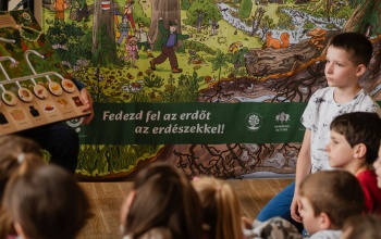 Ezer iskola vehet részt idén az Iskolában az Erdő Program rendezvényein
