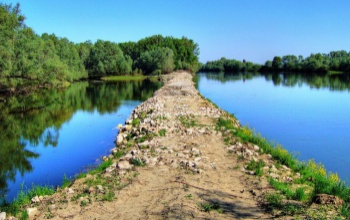 Időben érkezett a segítség