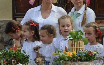 Álmaim kertje