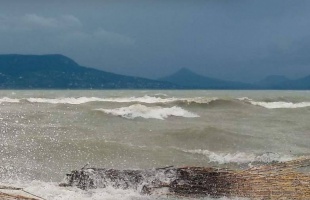 A Vad Balaton kapta a legjobb ismeretterjesztő filmnek járó elismerést