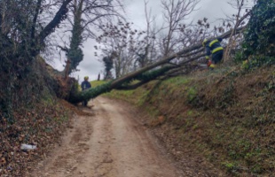 Szélvihar tépázta Somogyot