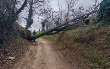 Szélvihar tépázta Somogyot