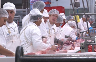 Kométa: csütörtökön dönt a közgyűlés