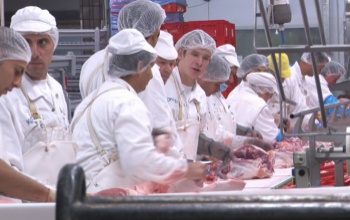 Kométa: csütörtökön dönt a közgyűlés