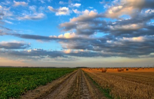 Válságkezelésre 25 milliárd plusz támogatást kap az agrárium