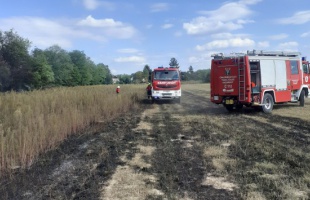 Volt munka bőven, a hétvégén tizenkilencszer riasztották a somogyi tűzoltókat