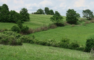 Natura 2000 gyepterületen gazdálkodók számára nyújt támogatást az Agrárminisztérium