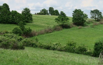 Natura 2000 gyepterületen gazdálkodók számára nyújt támogatást az Agrárminisztérium