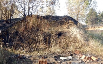 Több hektáron pusztítottak a lángok Marcaliban
