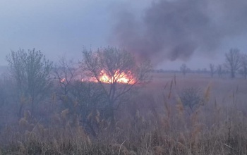 Másfél kilométer hosszan ég a nádas Fonyódon, négy tűzoltólaktanyából vonultak oltani