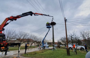 Ötletes magyar fejlesztéssel védik a madarakat - a Kaposvári Villamossági Gyár is besegített