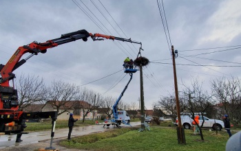 Ötletes magyar fejlesztéssel védik a madarakat - a Kaposvári Villamossági Gyár is besegített