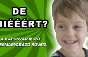 De miért kell ilyen korán fenyőfát állítani?