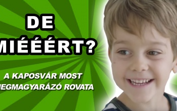 De miért kell ilyen korán fenyőfát állítani?