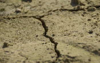 Hivatalosan is aszály van: november végéig igényelhető a kárenyhítő juttatás
