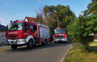 Elismerésben részesült a kaposvári KÖTÉL Speciális Mentőszolgálat