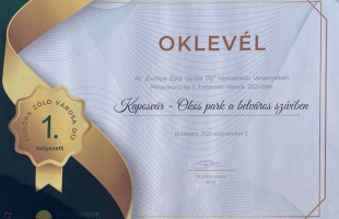 Öt éve kapott Zöld Város díjat Kaposvár