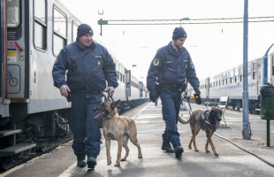 A RAILPOL 24 órás akciójában 730 vasútállomást és 650 vonatot ellenőriztek