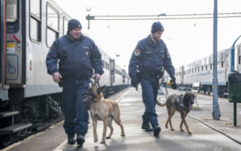 A RAILPOL 24 órás akciójában 730 vasútállomást és 650 vonatot ellenőriztek